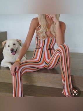 Zara Striped Knit Jumpsuit